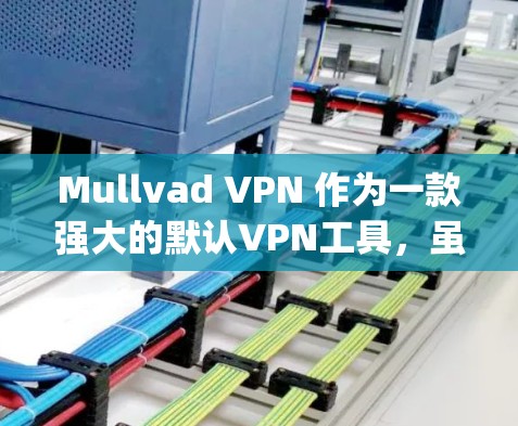 Mullvad VPN 作为一款强大的默认VPN工具，虽然功能强大，但价格较高，可能对一些用户来说较为 expensive。以下是几个替代工具的推荐，供您选择