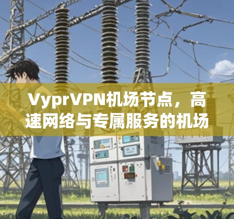 VyprVPN机场节点，高速网络与专属服务的机场体验