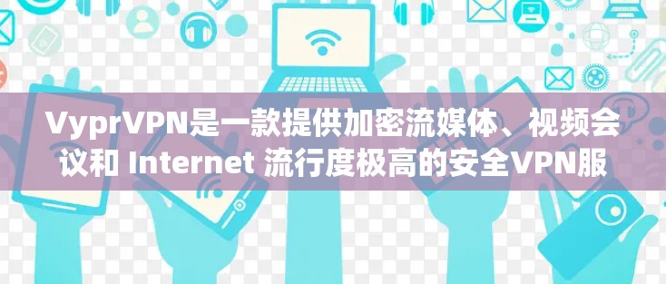 VyprVPN是一款提供加密流媒体、视频会议和 Internet 流行度极高的安全VPN服务。它通过使用先进的加密技术、严格的流量限制和安全的网络环境，为用户提供了一个全球范围内的安全VPN选择