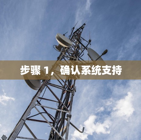 步骤 1，确认系统支持