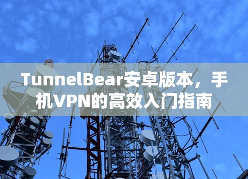 TunnelBear安卓版本，手机VPN的高效入门指南