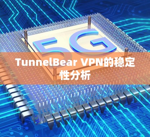 TunnelBear VPN的稳定性分析