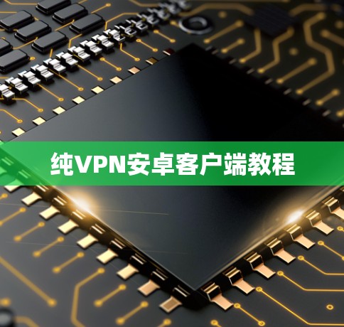 纯VPN安卓客户端教程