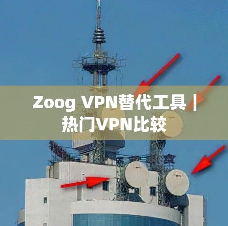 Zoog VPN替代工具｜热门VPN比较