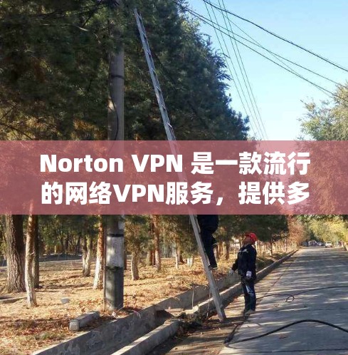 Norton VPN 是一款流行的网络VPN服务，提供多种配置选项，但测试其性能通常需要特定的设备和网络环境。以下是关于 Norton VPN 测试结果的通用指导，以及如何进行测试的步骤