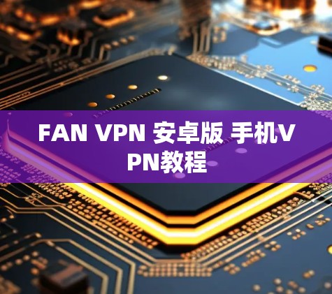 FAN VPN 安卓版 手机VPN教程
