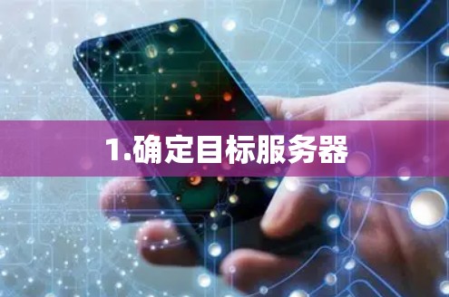 1.确定目标服务器