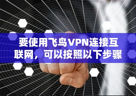 要使用飞鸟VPN连接互联网，可以按照以下步骤操作
