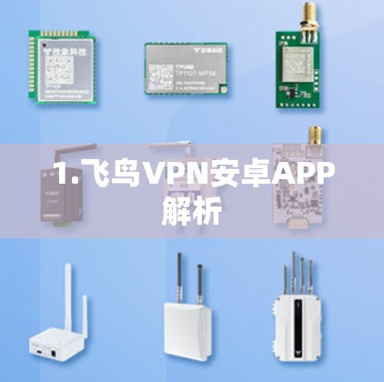 1.飞鸟VPN安卓APP解析