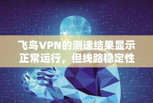 飞鸟VPN的测速结果显示正常运行，但线路稳定性较差，这可能与飞鸟VPN的网络环境有关。以下是对线路稳定性的分析和建议