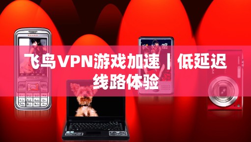 飞鸟VPN游戏加速｜低延迟线路体验