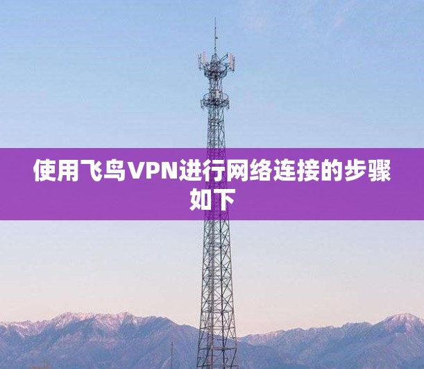 使用飞鸟VPN进行网络连接的步骤如下