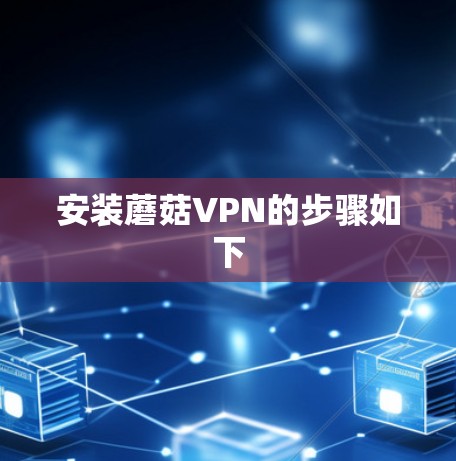 安装蘑菇VPN的步骤如下