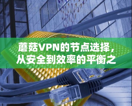 蘑菇VPN的节点选择，从安全到效率的平衡之道