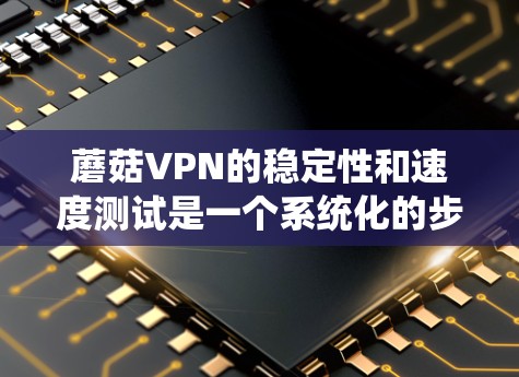 蘑菇VPN的稳定性和速度测试是一个系统化的步骤，确保在不同的网络条件下运行良好。以下是详细的步骤说明