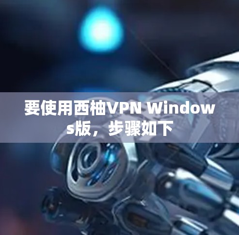 要使用西柚VPN Windows版，步骤如下