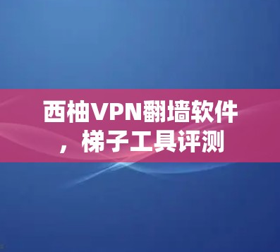 西柚VPN翻墙软件，梯子工具评测