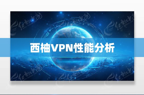 西柚VPN性能分析