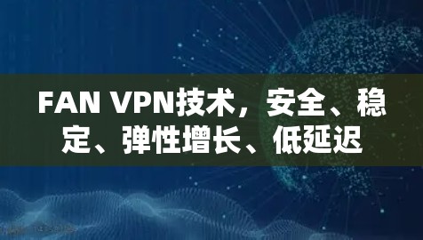 FAN VPN技术，安全、稳定、弹性增长、低延迟