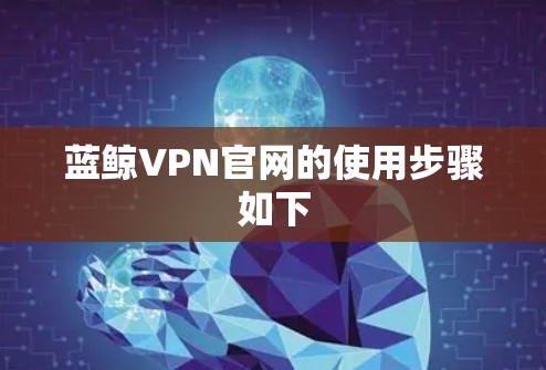 蓝鲸VPN官网的使用步骤如下