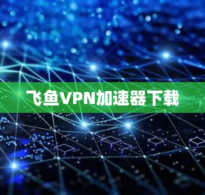 飞鱼VPN加速器下载