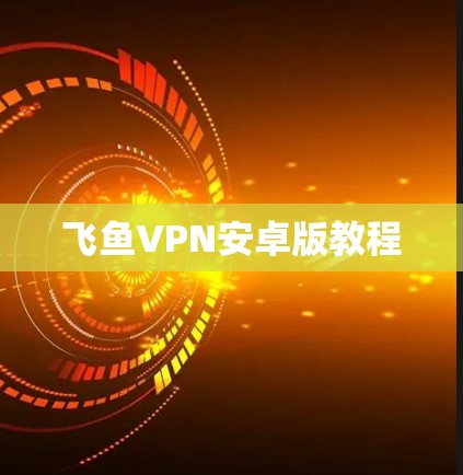 飞鱼VPN安卓版教程