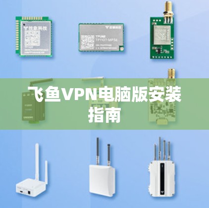 飞鱼VPN电脑版安装指南