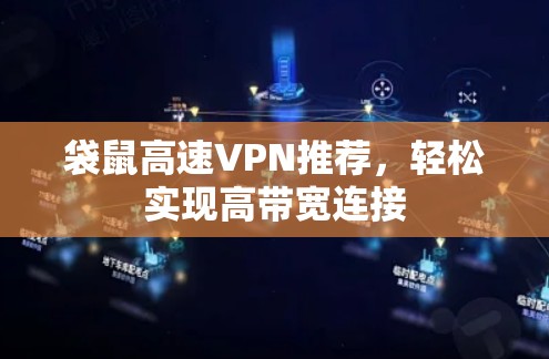 袋鼠高速VPN推荐，轻松实现高带宽连接
