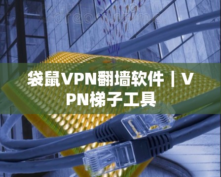 袋鼠VPN翻墙软件｜VPN梯子工具