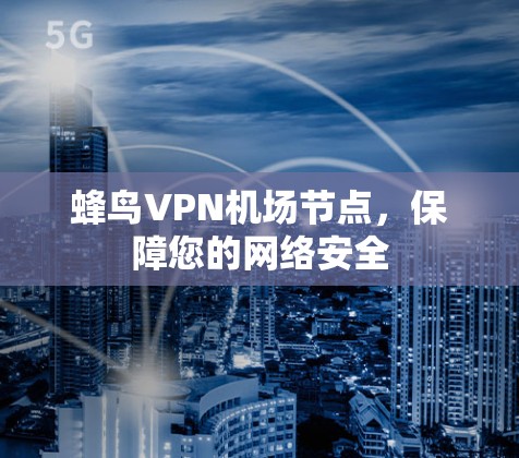 蜂鸟VPN机场节点，保障您的网络安全