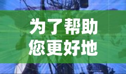 为了帮助您更好地了解黑豹VPN的机场节点服务器推荐情况，以下是一个详细的总结和信息整理