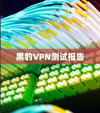 黑豹VPN测试报告