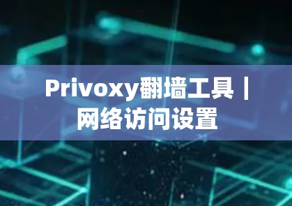 Privoxy翻墙工具｜网络访问设置