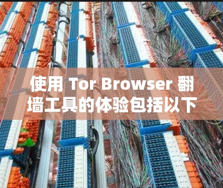 使用 Tor Browser 翻墙工具的体验包括以下步骤和注意事项