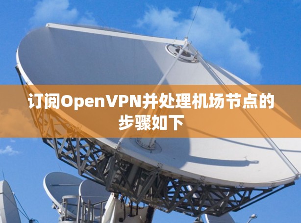 订阅OpenVPN并处理机场节点的步骤如下