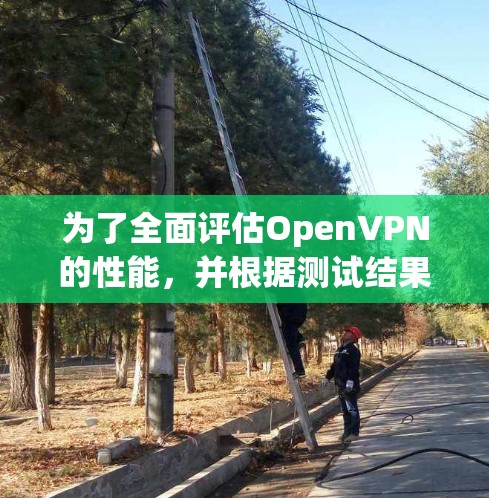为了全面评估OpenVPN的性能，并根据测试结果优化其使用，可以按照以下步骤进行