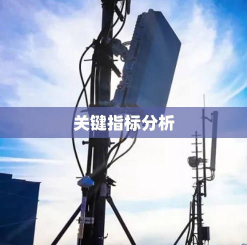 关键指标分析