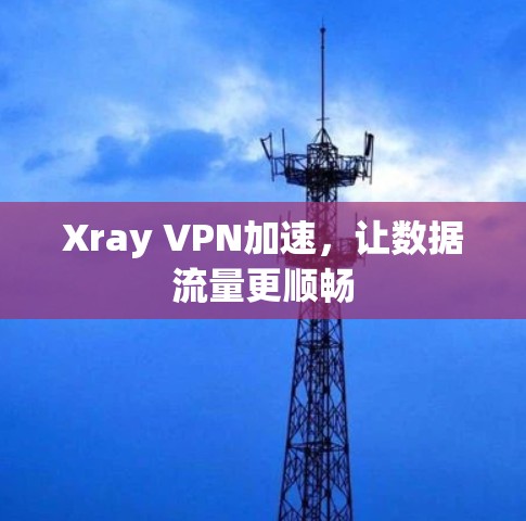 Xray VPN加速，让数据流量更顺畅