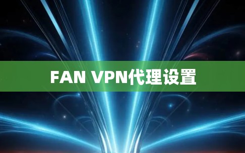 FAN VPN代理设置