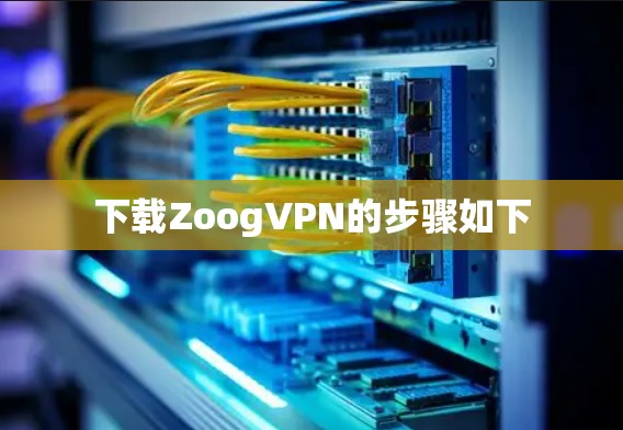 下载ZoogVPN的步骤如下