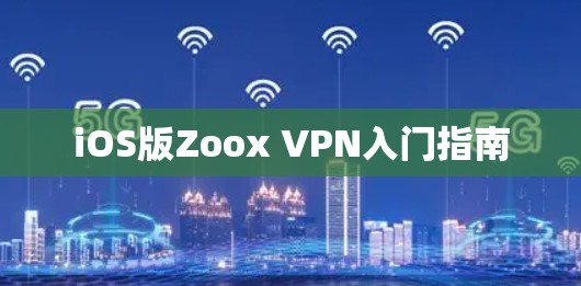iOS版Zoox VPN入门指南