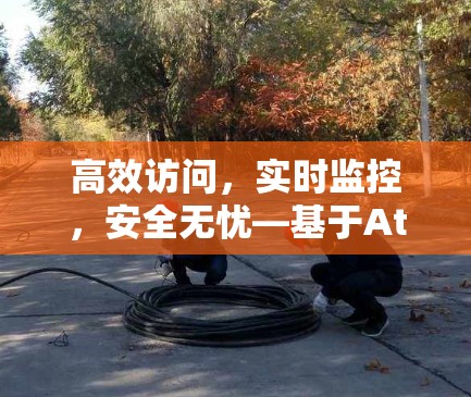 高效访问，实时监控，安全无忧—基于Atlas VPN的海外访问方案