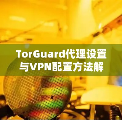 TorGuard代理设置与VPN配置方法解析