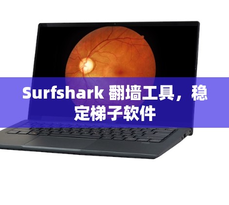 Surfshark 翻墙工具，稳定梯子软件