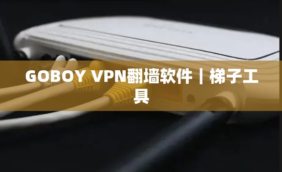 GOBOY VPN翻墙软件｜梯子工具