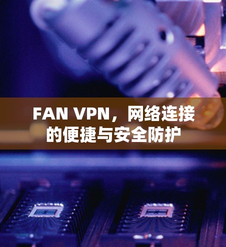 FAN VPN，网络连接的便捷与安全防护