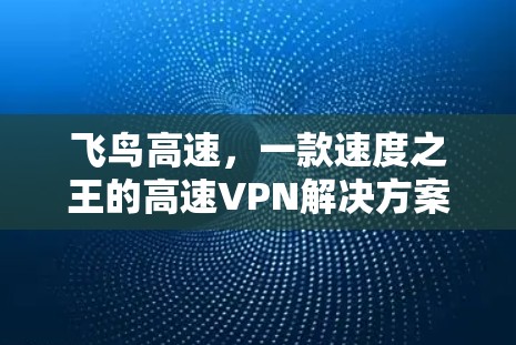 飞鸟高速，一款速度之王的高速VPN解决方案