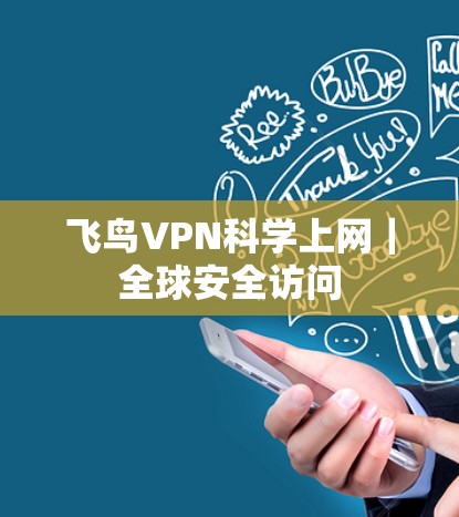 飞鸟VPN科学上网｜全球安全访问