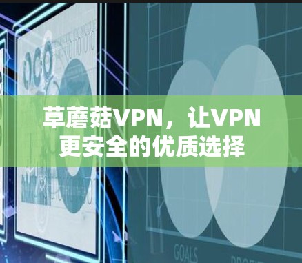 草蘑菇VPN，让VPN更安全的优质选择