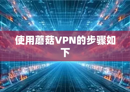 使用蘑菇VPN的步骤如下